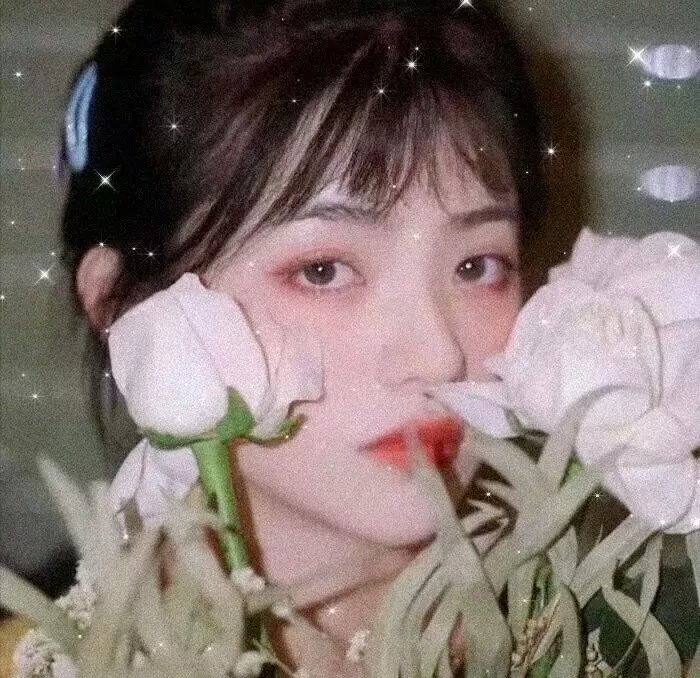黑玫瑰